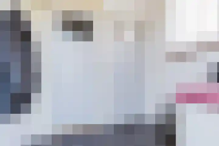 Rindert van Zinderen Bakkerstrjitte 3 Gorredijk thumbnail 29
