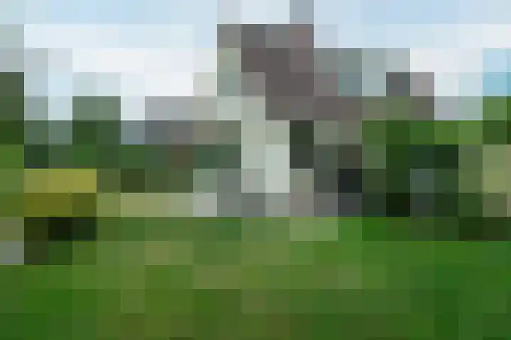 Rinewâl 10 De Falom