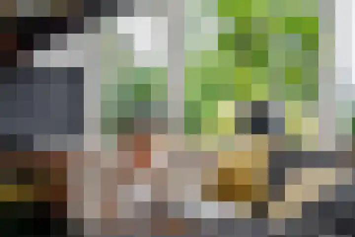Rinewâl 10 De Falom thumbnail 12