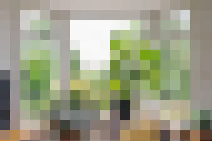 Rinewâl 10 De Falom thumbnail 13