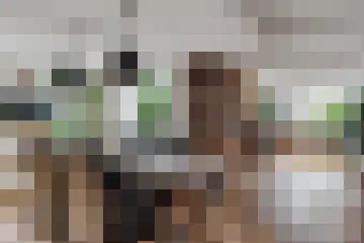 Rinewâl 10 De Falom thumbnail 17