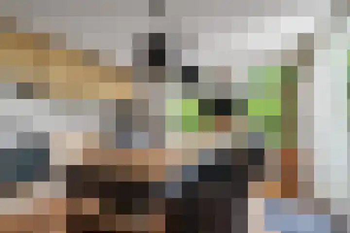 Rinewâl 10 De Falom thumbnail 18