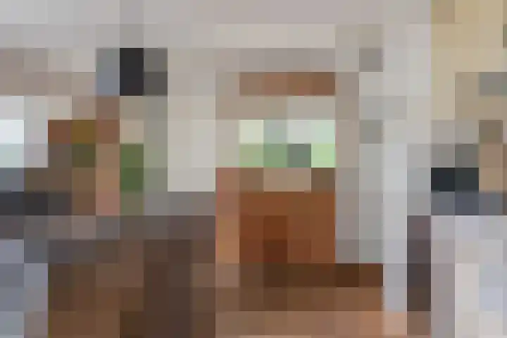 Rinewâl 10 De Falom thumbnail 19