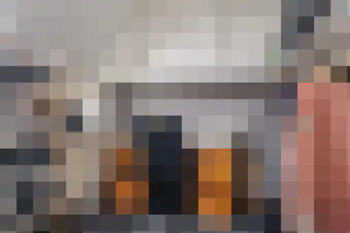 Rinewâl 10 De Falom thumbnail 21