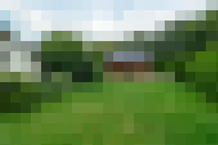 Rinewâl 10 De Falom thumbnail 29