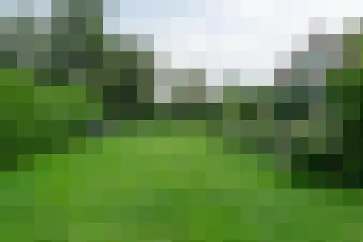 Rinewâl 10 De Falom thumbnail 30