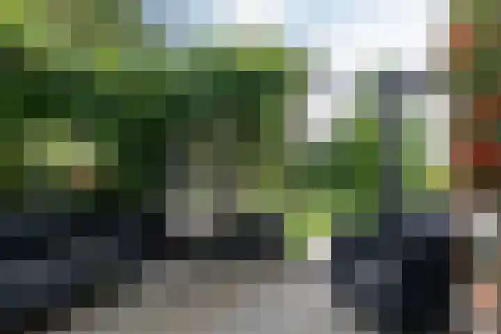 Rinewâl 10 De Falom thumbnail 31