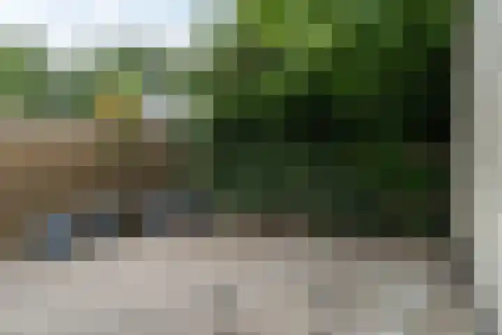 Rinewâl 10 De Falom thumbnail 32