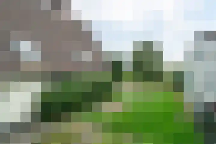 Rinewâl 10 De Falom thumbnail 33