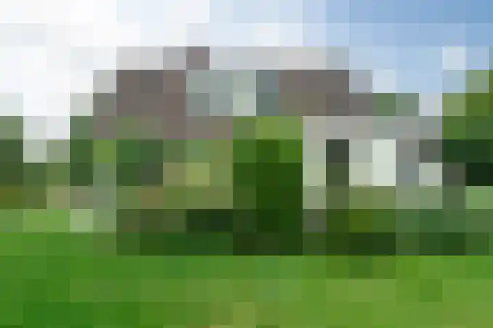 Rinewâl 10 De Falom thumbnail 34