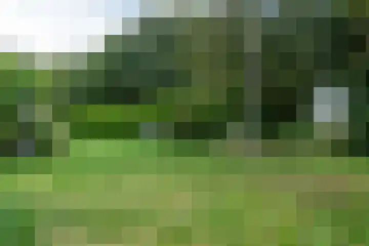 Rinewâl 10 De Falom thumbnail 36