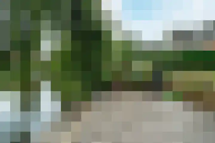 Rinewâl 10 De Falom thumbnail 37