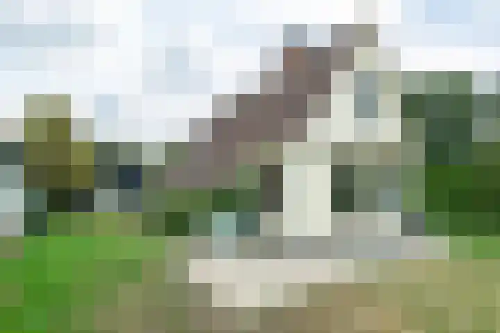 Rinewâl 10 De Falom thumbnail 38