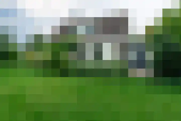 Rinewâl 10 De Falom thumbnail 4