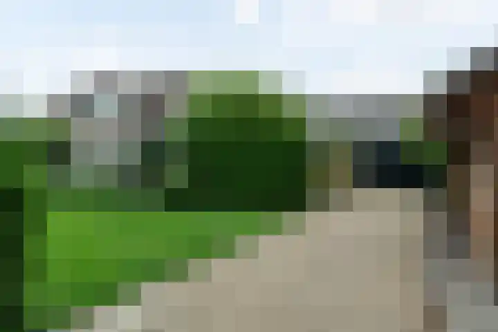 Rinewâl 10 De Falom thumbnail 6