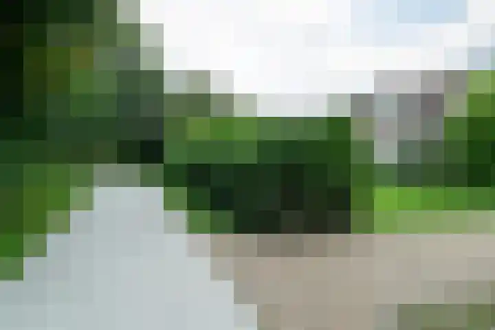 Rinewâl 10 De Falom thumbnail 7