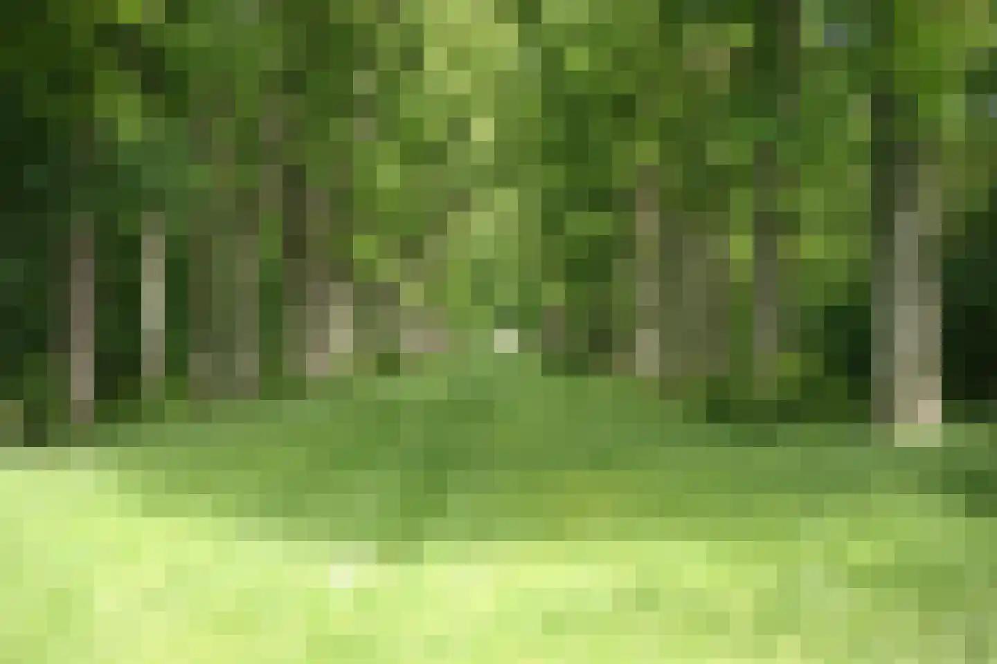 Ring 10 Burgh-Haamstede thumbnail 59