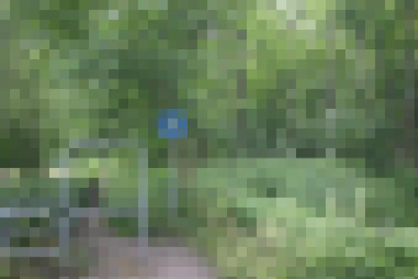 Ring 10 Burgh-Haamstede thumbnail 61