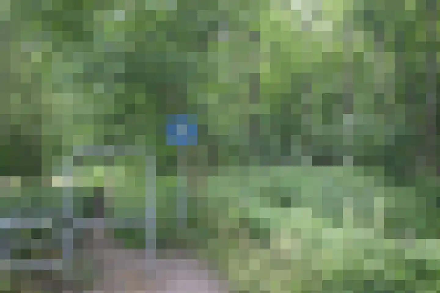 Ring 10 Burgh-Haamstede thumbnail 61