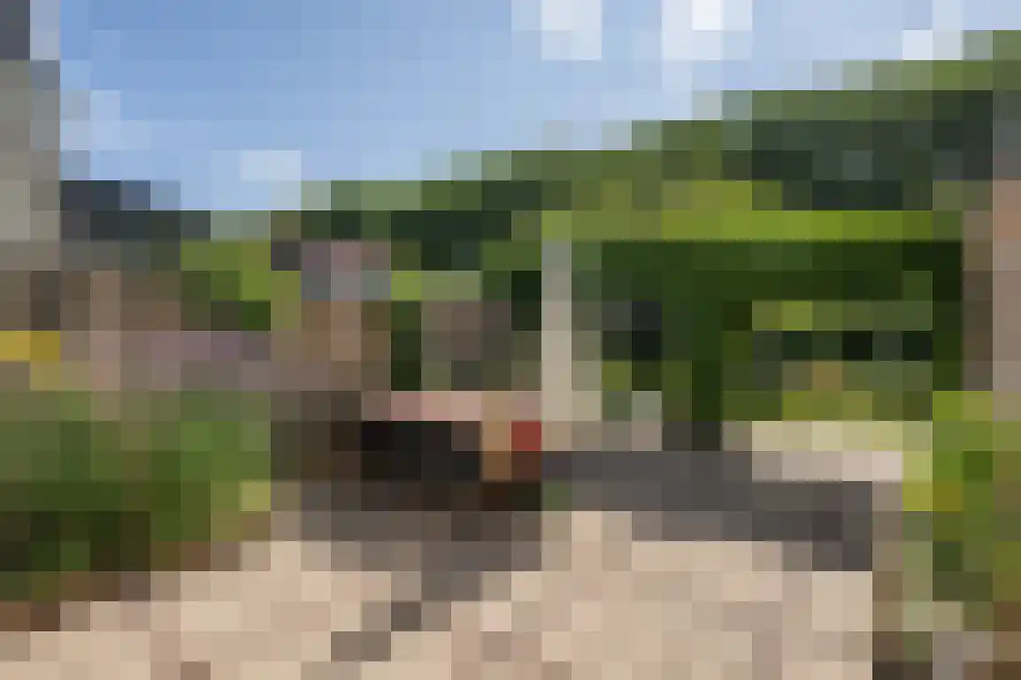 Ring 11 Dirksland thumbnail 54