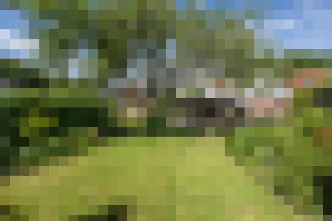 Ring 11 Dirksland thumbnail 55