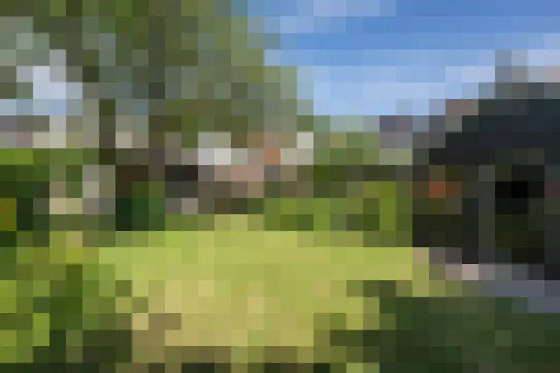 Ring 11 Dirksland thumbnail 58