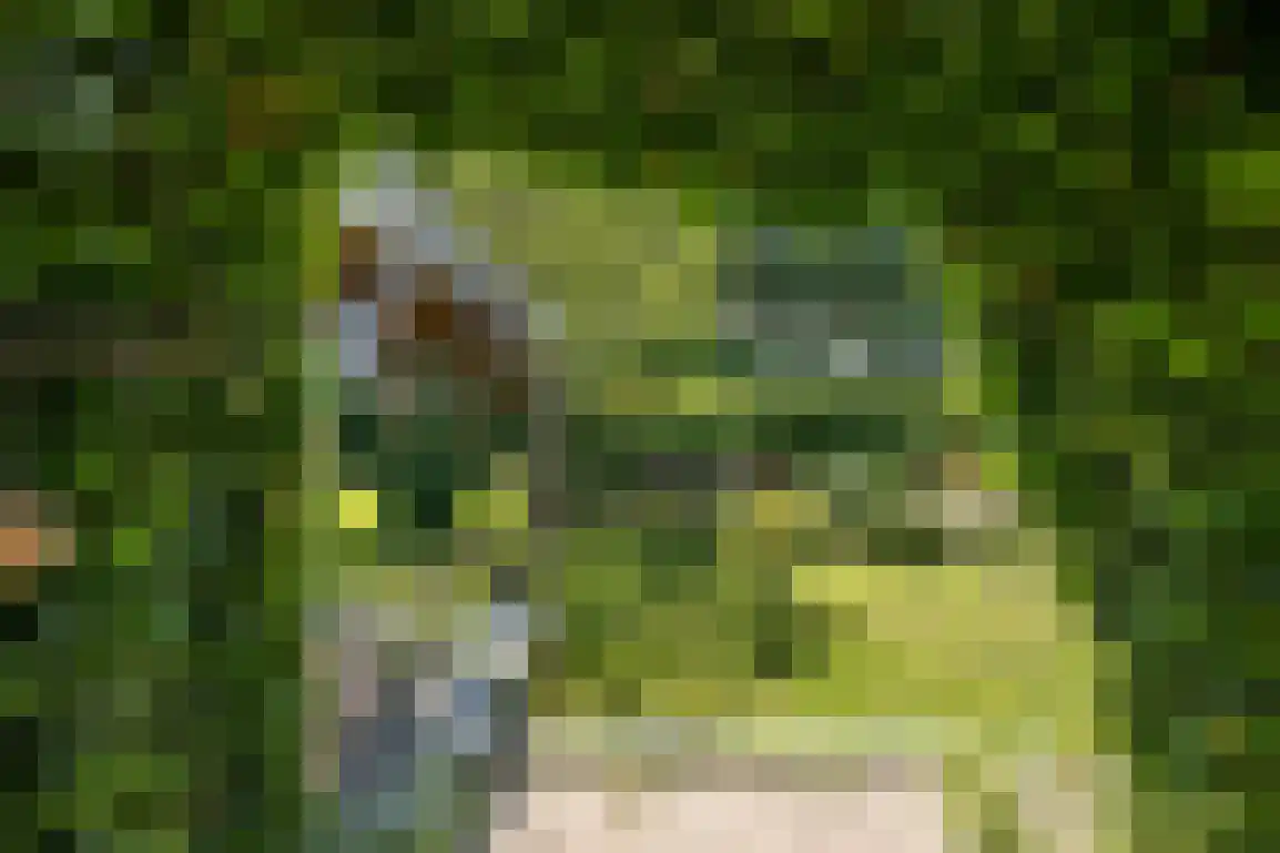 Ring 11 Dirksland thumbnail 59