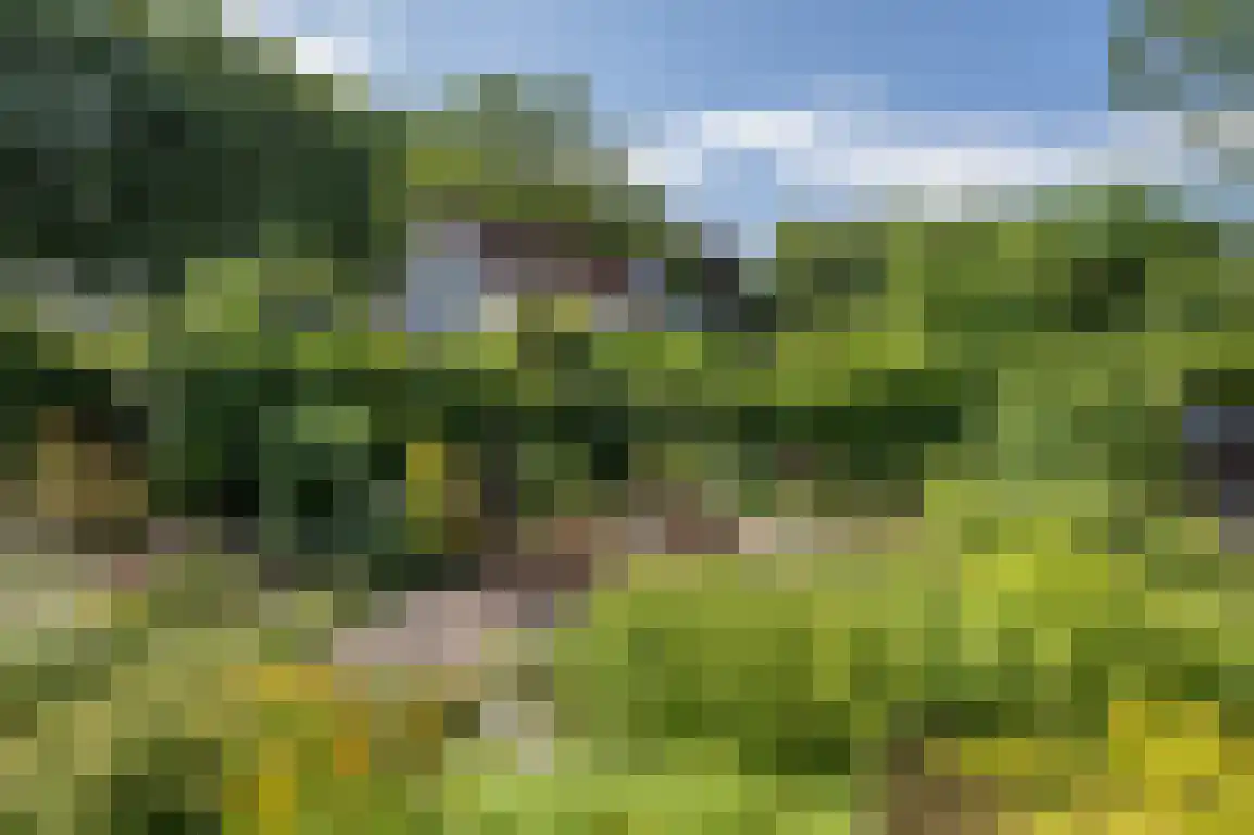 Ring 11 Dirksland thumbnail 62