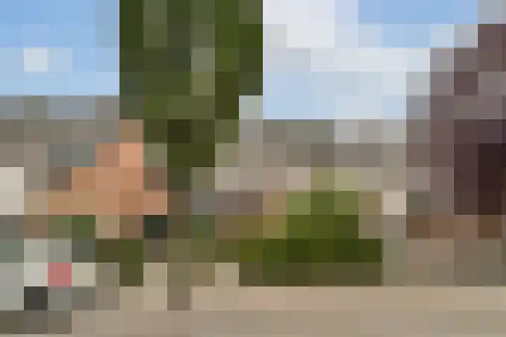 Ring 110 in Hendrik-Ido-Ambacht