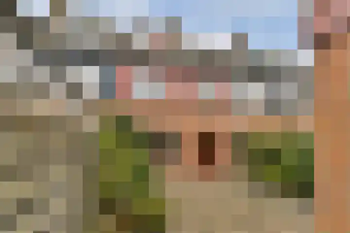 Ring 110 Hendrik-Ido-Ambacht thumbnail 21