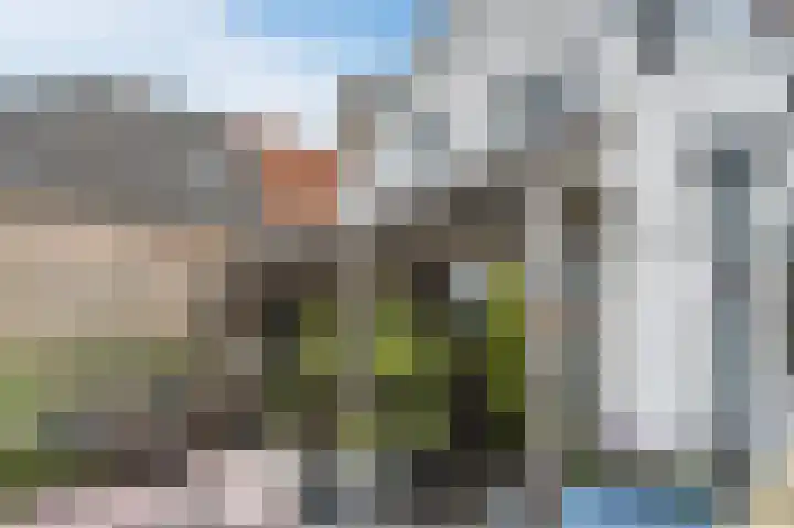 Ring 12 Zuidland thumbnail 34