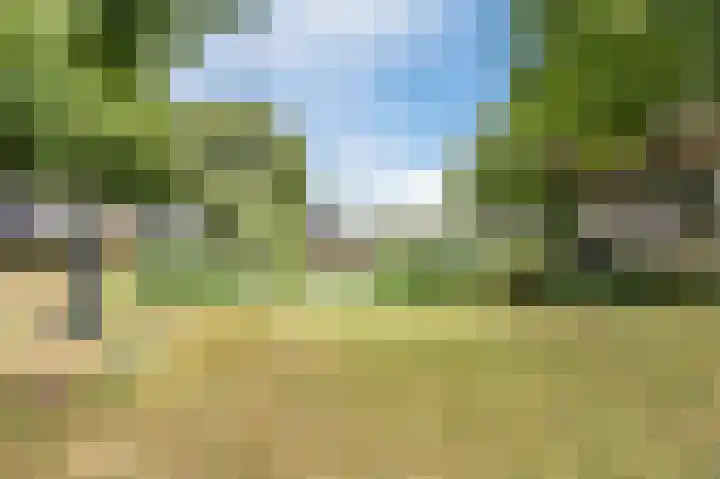 Ring 12 Zuidland thumbnail 39