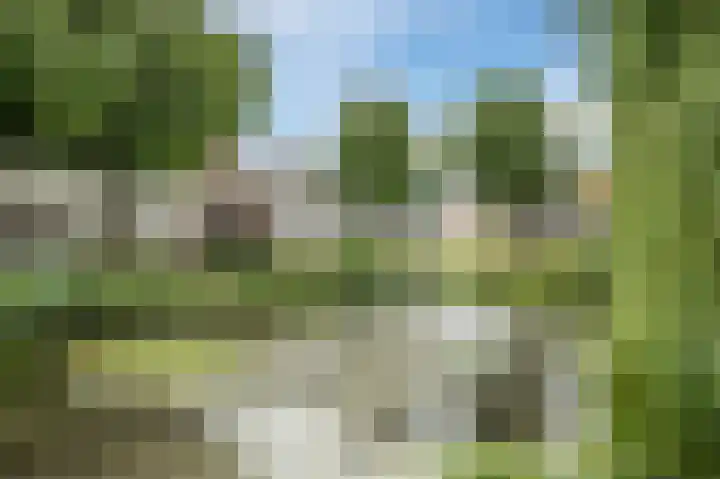 Ring 12 Zuidland thumbnail 40