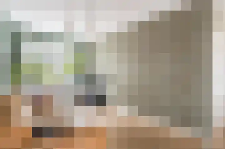 Ring 12 Zuidland thumbnail 5