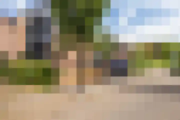 Ring 124 Hendrik-Ido-Ambacht thumbnail 5