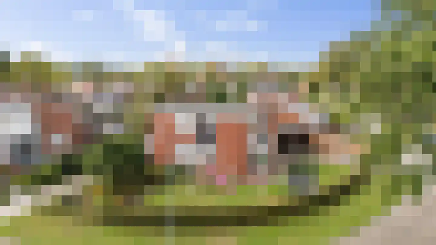 Ring 15 Nieuw-Amsterdam thumbnail 6