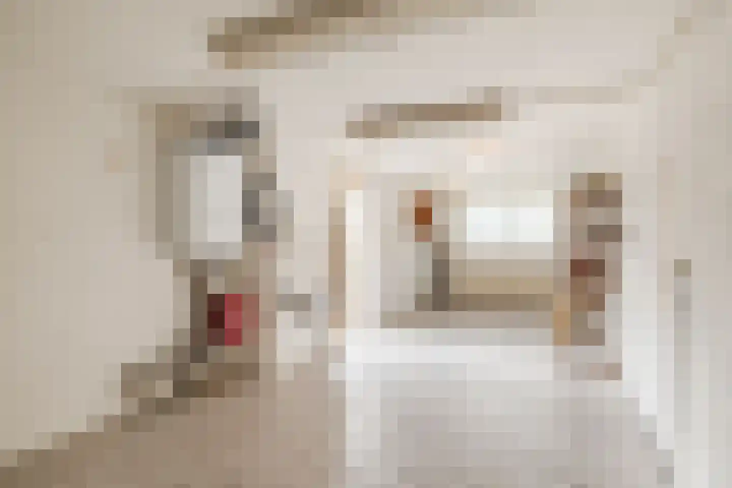 Ring 19 Nieuweroord thumbnail 17