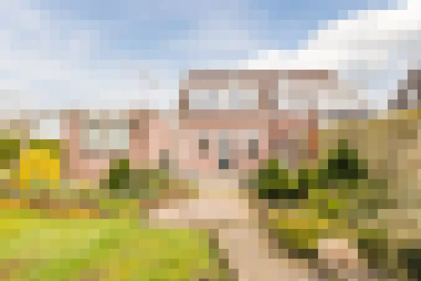 Ring 19 Nieuweroord thumbnail 34