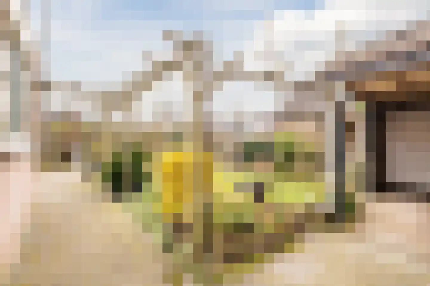 Ring 19 Nieuweroord thumbnail 36