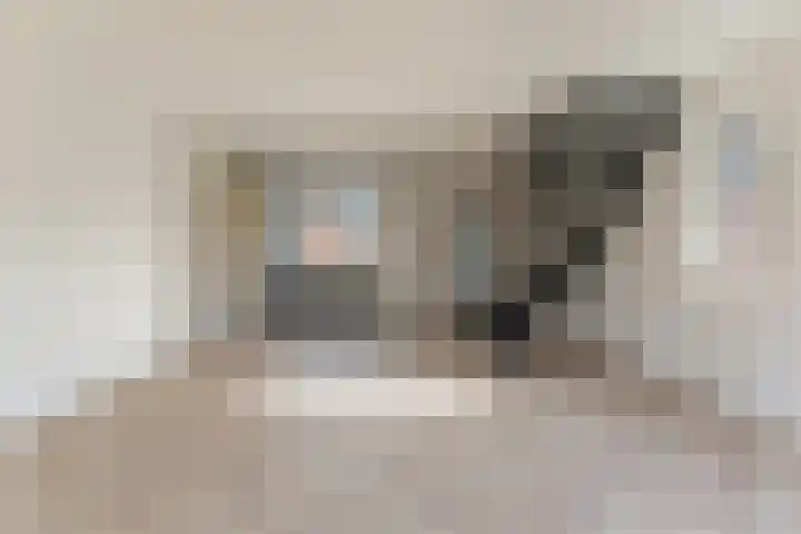 Ring 196 Hendrik-Ido-Ambacht thumbnail 4