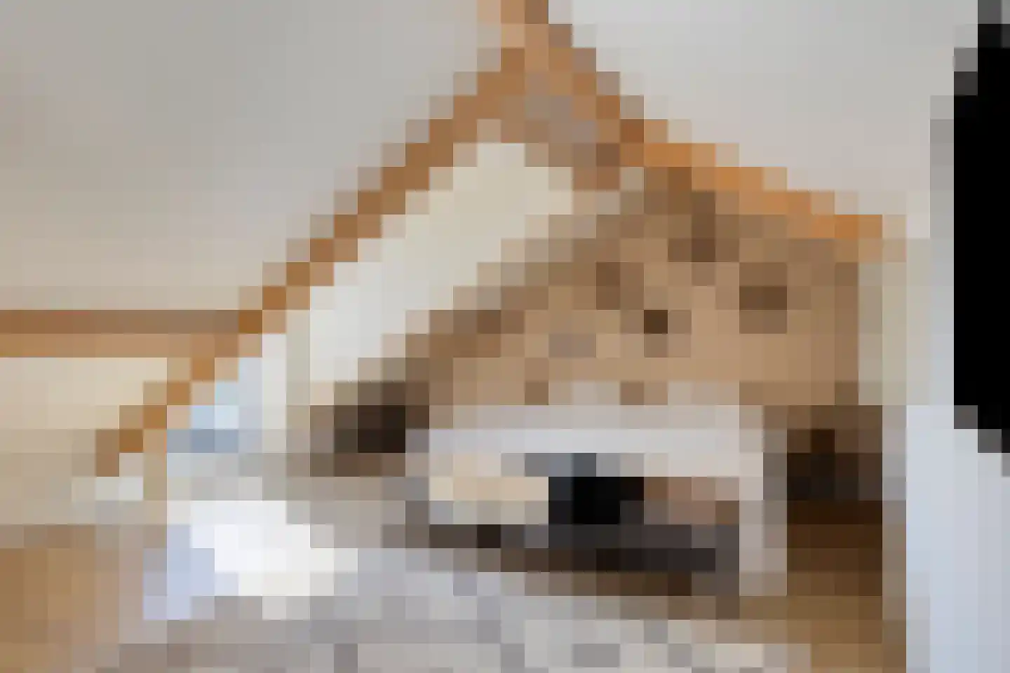 Ring 2 Kerkwerve thumbnail 22