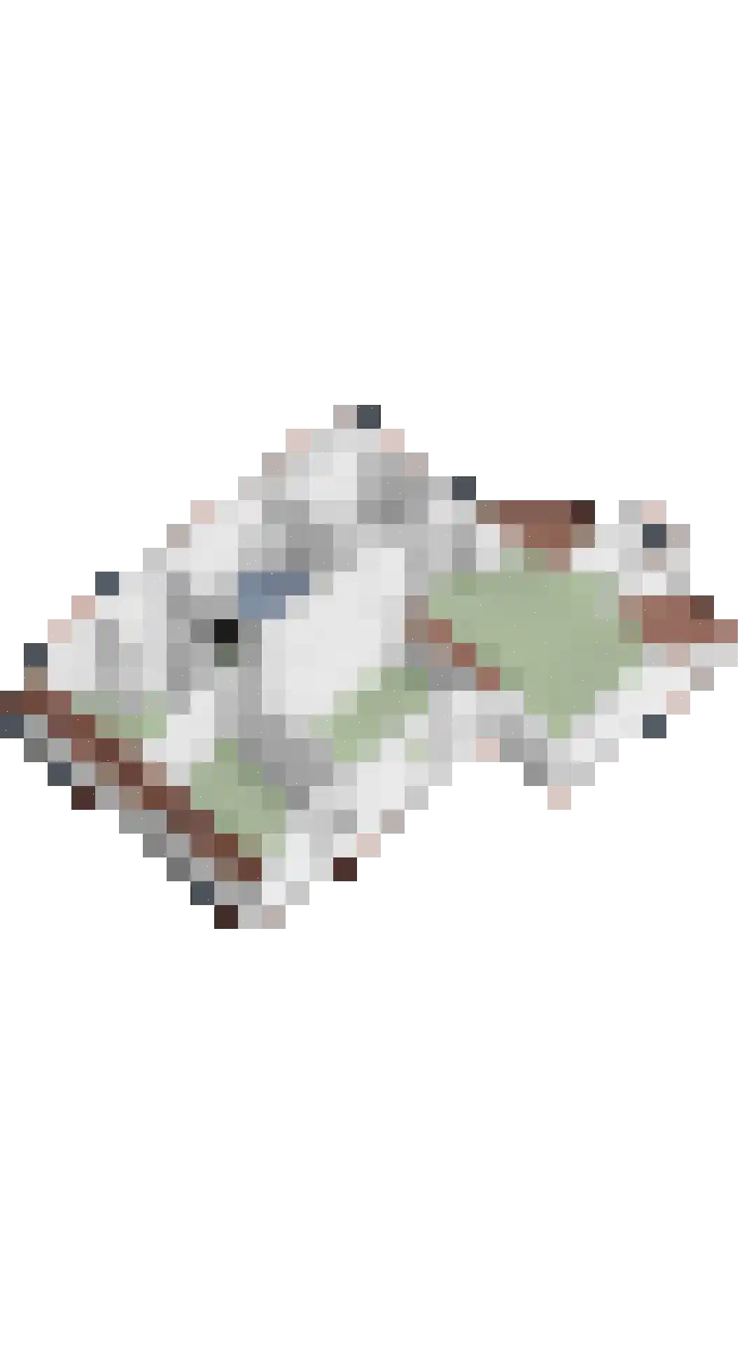 Ring 2 Kerkwerve thumbnail 36
