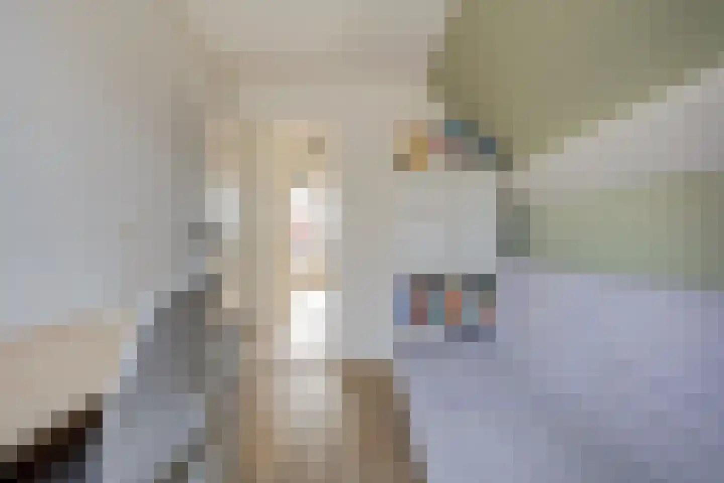 Ring 2 Oudenhoorn thumbnail 22