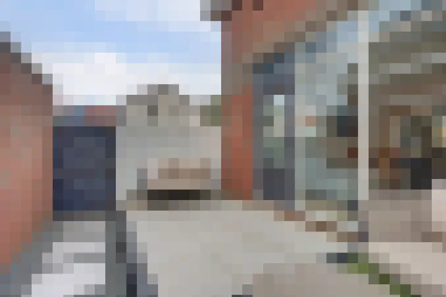 Ring 2 Oudenhoorn thumbnail 30