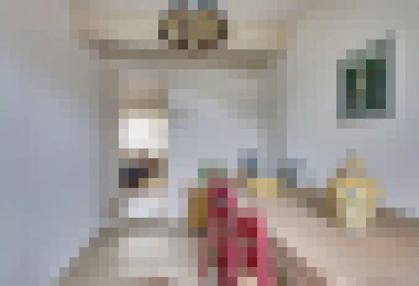 Ring 2 Ouwerkerk thumbnail 10