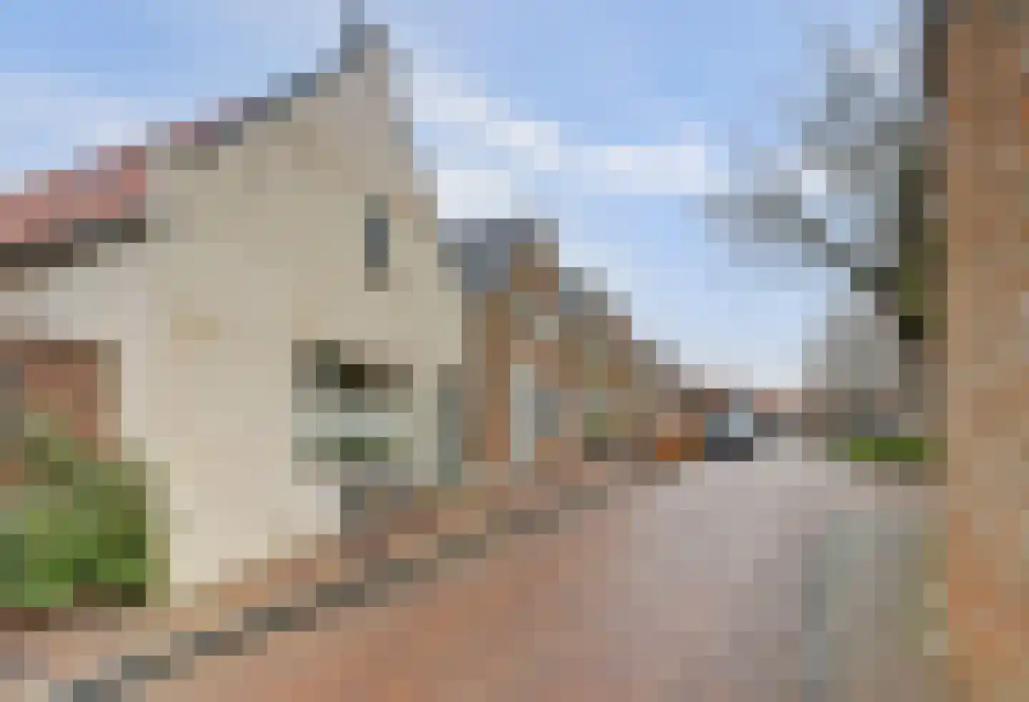 Ring 2 Ouwerkerk thumbnail 31