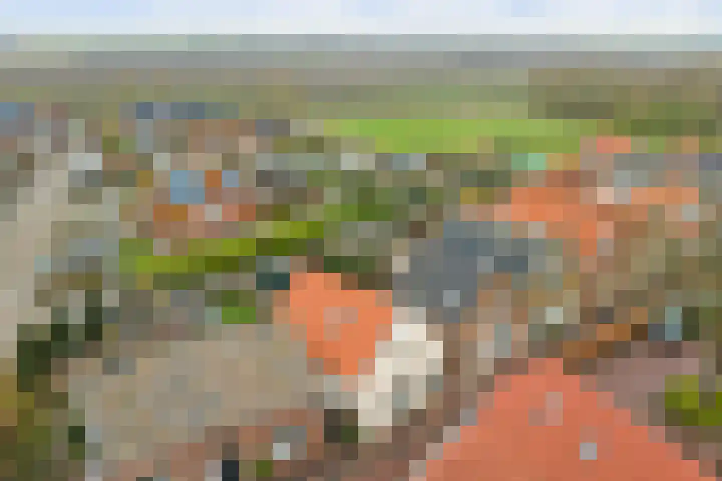 Ring 2 Ouwerkerk thumbnail 34