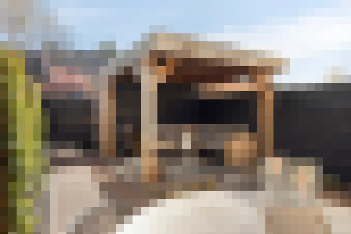 Ring 206 Hendrik-Ido-Ambacht thumbnail 29