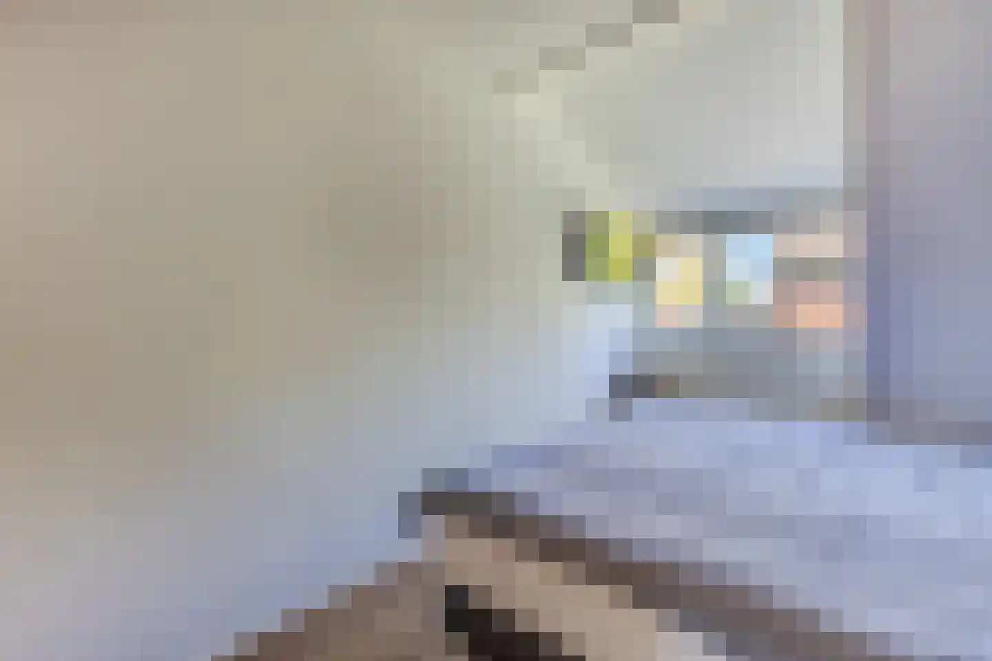 Ring 216 Hendrik-Ido-Ambacht thumbnail 15