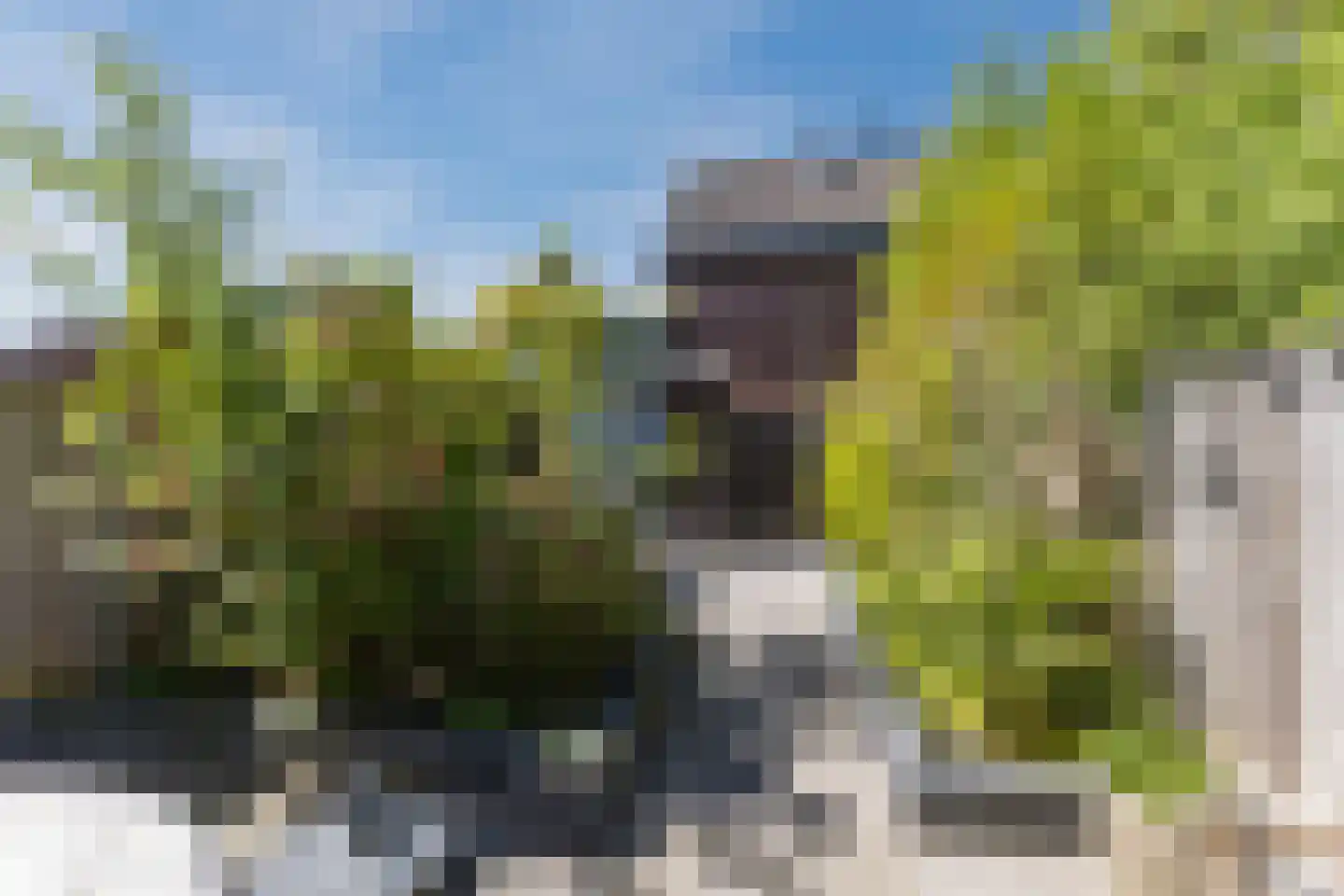 Ring 216 Hendrik-Ido-Ambacht thumbnail 32